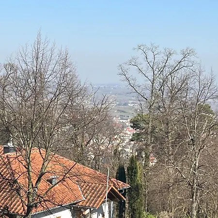 Schickes 1-zimmer Mit Tollem Blick Bad Dürkheim